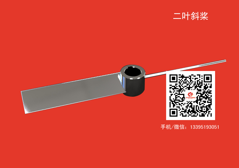 二葉斜槳及其定向結(jié)構(gòu)淺析